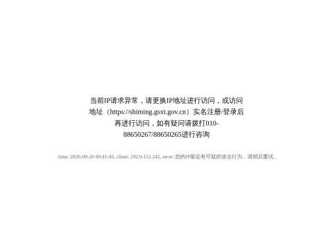 网站预览