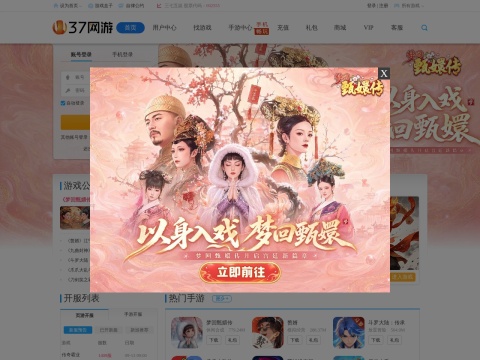 网站预览