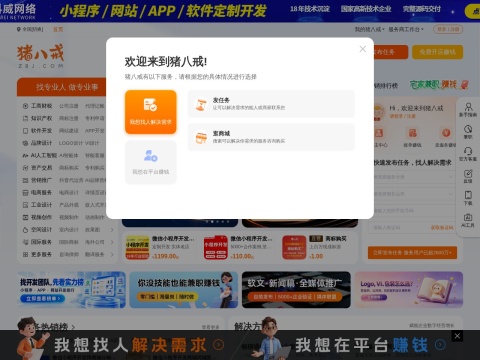 网站预览
